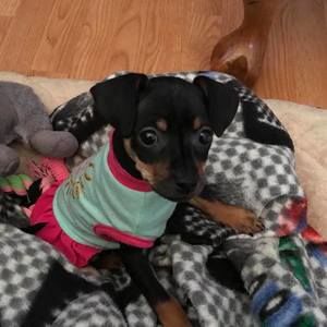 Meet your Posher, Jackie